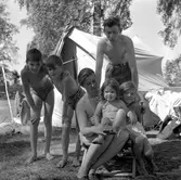 Campare i Hästhagen.
Juli 1956.