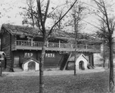 Kungsstugan i Wadköping.