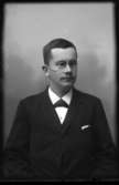 Bankdirektör Ernst Öjermark
