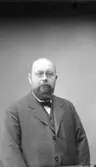 Lektor Johan Otto Rohnström