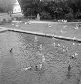 Kallerstadstenen 1950