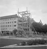 Människan och hennes genius