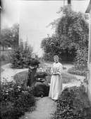 Kvinnor i trädgården, Bredgränd 11, Uppsala före 1914