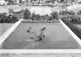 Åkeriägare Edvard Gustafssons familjegrav på Uppsala gamla kyrkogård, Uppsala 1940