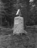 En bilismens föregångsman