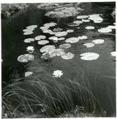 Gunnilbo sn, Naddebo.