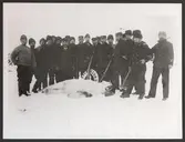Besättning av kanonbåten Svensksund har fällt en isbjörn