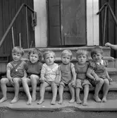 Tre tvillingpar i samma familj.
Juli 1956.