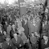 Gammaldags i Folkets park.
Augusti 1956.