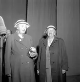 Gammaldags i Folkets park.
Augusti 1956.