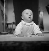 Peter Hus, Täby.
Augusti 1956.