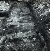 Foto från utgrävningen i Skedemosse. Offerplats med ben.