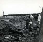 Kronprins Carl Gustaf och kung Gustaf VI Adolf deltar i utgrävningarna i Skedemosse.