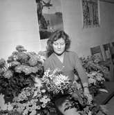 Blomsterutställning.
Oktober 1956.