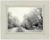 Vägen vid Brogårdsdammen.