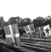 Svenska flaggans dag.
6 juni 1958. (Publicerad 7 juni 1958).