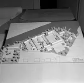 Lars Bohms udde, modell.
December 1956.