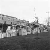 Vänersborg, marknad