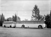 Buss 3 med släpvagn 3, Stockholms Läns Omnibuss aktiebolag SLO