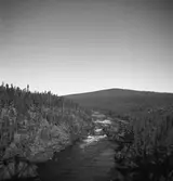 Vy från bron vid harsprånget