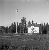 Familjen Johansson. Korad till Sveriges Järnvägsfamilj Nr 1 av SJ-NYTT i nr 11-12  år 1956. Makarna Johanssons bostad.