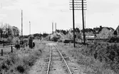 Linjebild vid Gotlands Järnväg.