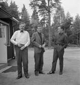 Skrotningsplats i Vislanda. Många gamla ånglok, personvagnar, godsvagnar och bussar skrotades under åren här.