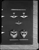 Uniformstecken från CWJ, Karlskrona-Växjö Järnväg. Stationsinspektor. Stationsskrivare.