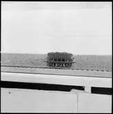 Modell av malmvagn littera Mas