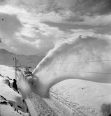 Statens Järnvägar, SJ snöslunga