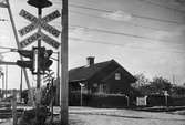 Banvaktstuga 179 vid Odensala på linjen Märsta- Knivsta. Stugan riven efter 1960. Järnvägen elektrifierades 1934.