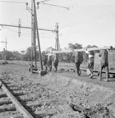 Utmed linjen. Dubbelspårsanläggning vid Skövde.