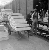 Lossning av lingonlådor vid Järvsö station