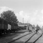 Simrishamns bangård. Lossning av torv. Simrishamn stavades Cimbrishamn före 1896.