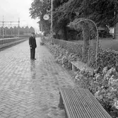 Statens Järnvägar, SJ Trädgårdsanläggning vid Mjölby. Rosengården. Stationsinspektor Wiksten.