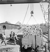 Statens Järnvägar, SJ O-vagn. Omlastning av massaved i Haparanda.