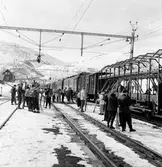 Tåghemmet på Björklidens järnvägsstation med vagn för skidor.
Tåghemmets tågsätt består littera Statens Järnvägar, SJ O/Or skidvagn, B010 2074 sjkukvagn, C07 4013 personalvagn, F7 kyl och förrådsvagn, C07 2503 eller 2504 köksvagn, C07 1273 eller 1275 matsalsvagn och så vidare.
TT