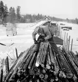 Lastning av timmer från lastbil till godsvagn med Puller timmerlastningsapparat, Glissjöberg.