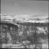 Skidlift i Björkliden.