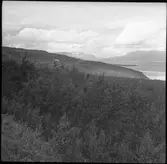 Lappland. Björkliden.