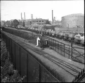 Cisternvagnar på Värtans bangård. Loudden.