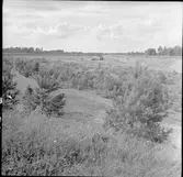 Klostersågen, grusgrop.
Tidigare namn Öveds Kloster. Namnbyte 1910-05-01.