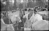 Evakuering av finska flyktingar, hösten 1944.