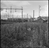 Statens Järnvägar, SJ vagnhallar i Hagalund Ö.