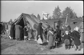 Flyktingar från Finland anländer i Haparanda hösten 1944.