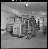 Packning av djupfrysta varor i köldbox