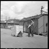 Pallastat gods på ledtruck