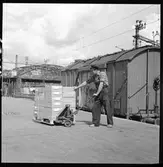 Pallastat gods på ledtruck