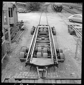 Vagnbjörn, olastad.