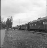 Sunlit Nights Land Cruises (SNLC) - tåget vid Abisko och Björkliden stationer.
Det så kallade Dollartåget med huvudsakligen amerikanska turister. Kilomterstolpe 1508